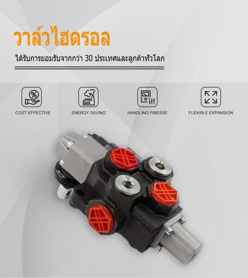 SD14 ด้วยตนเอง 1 สปูล วาล์วทิศทางโมโนบล็อก