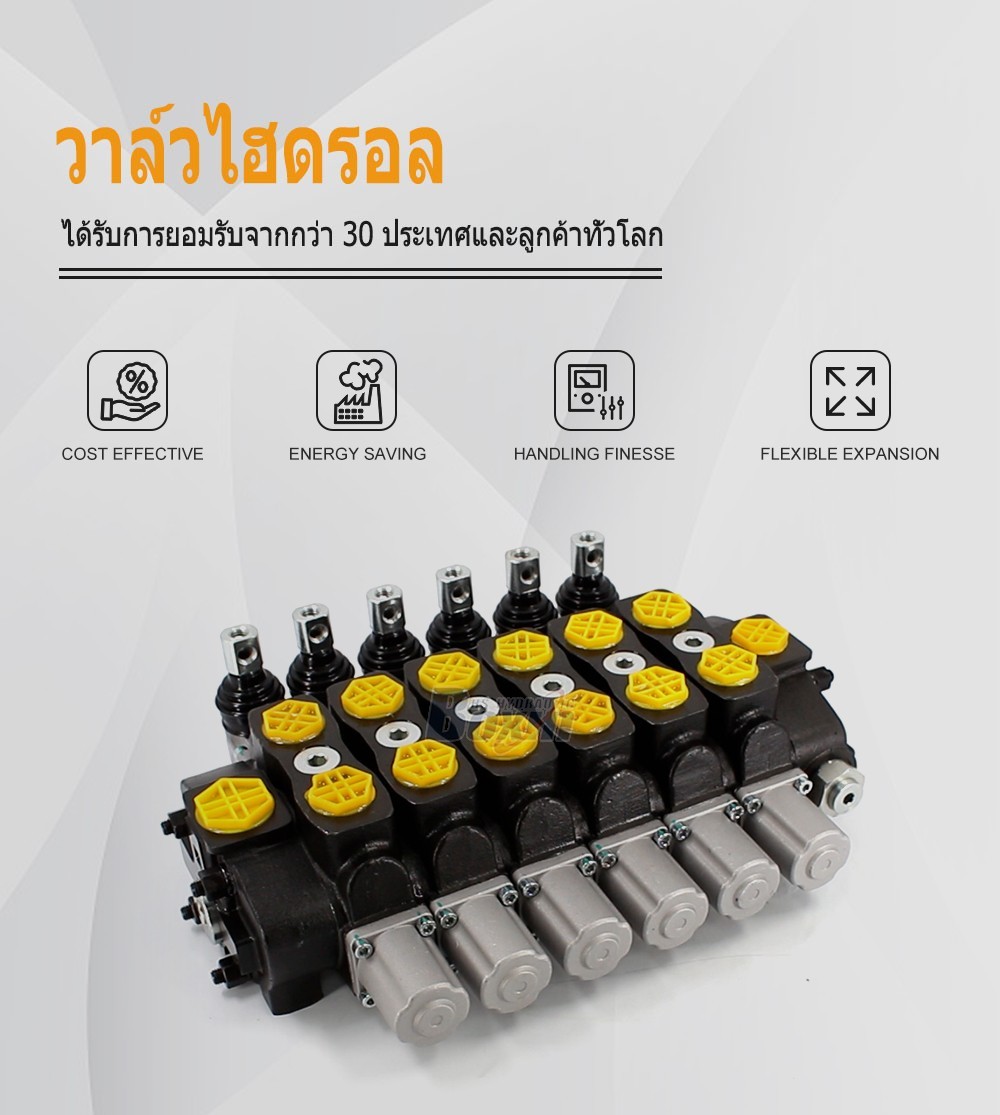 SD8 ด้วยตนเอง 6 สปูล วาล์วทิศทางส่วน