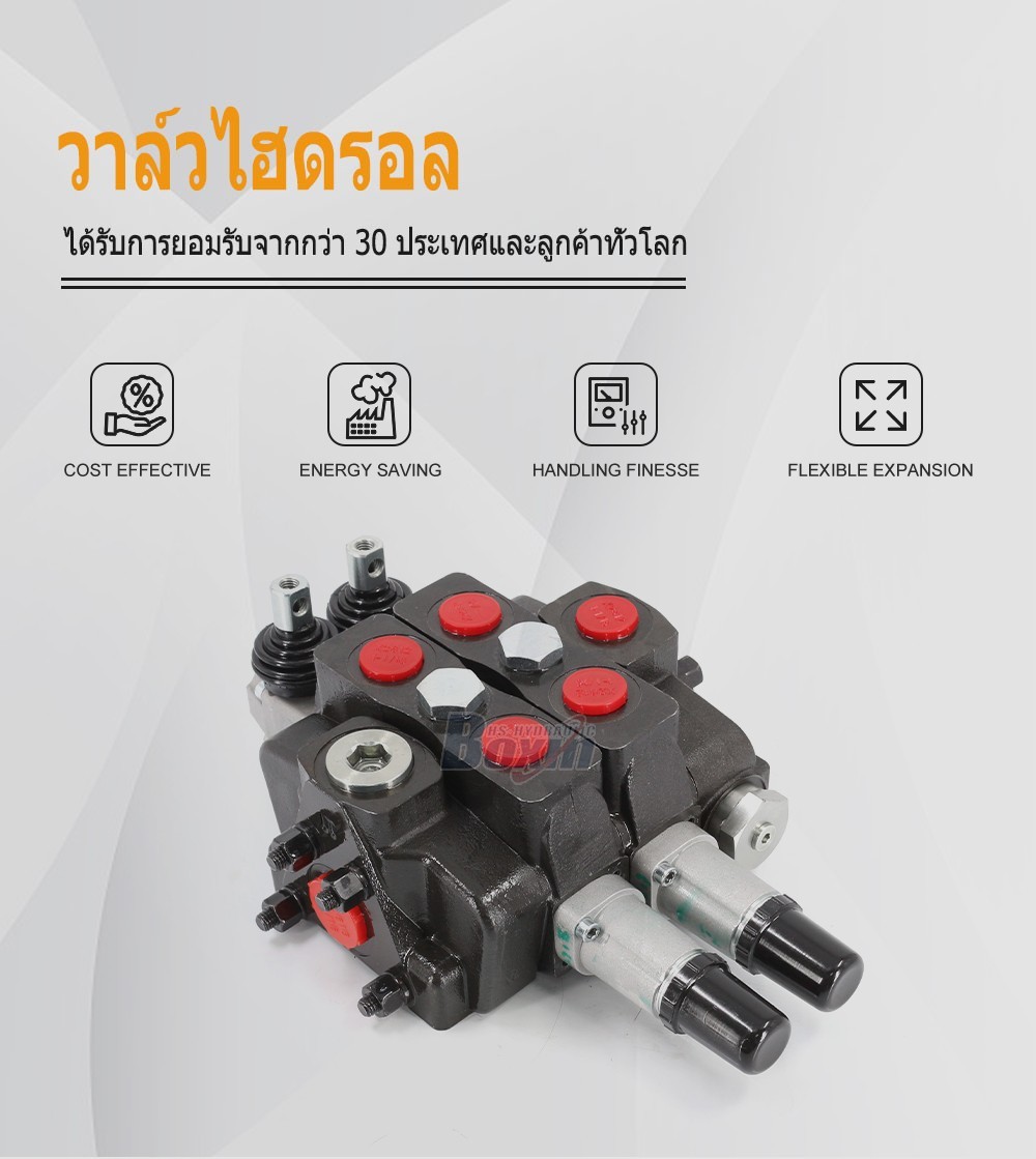 Durable SDS180T-2CB-OT 2 Spool Sectional Valve for Global Hydraulic Applications