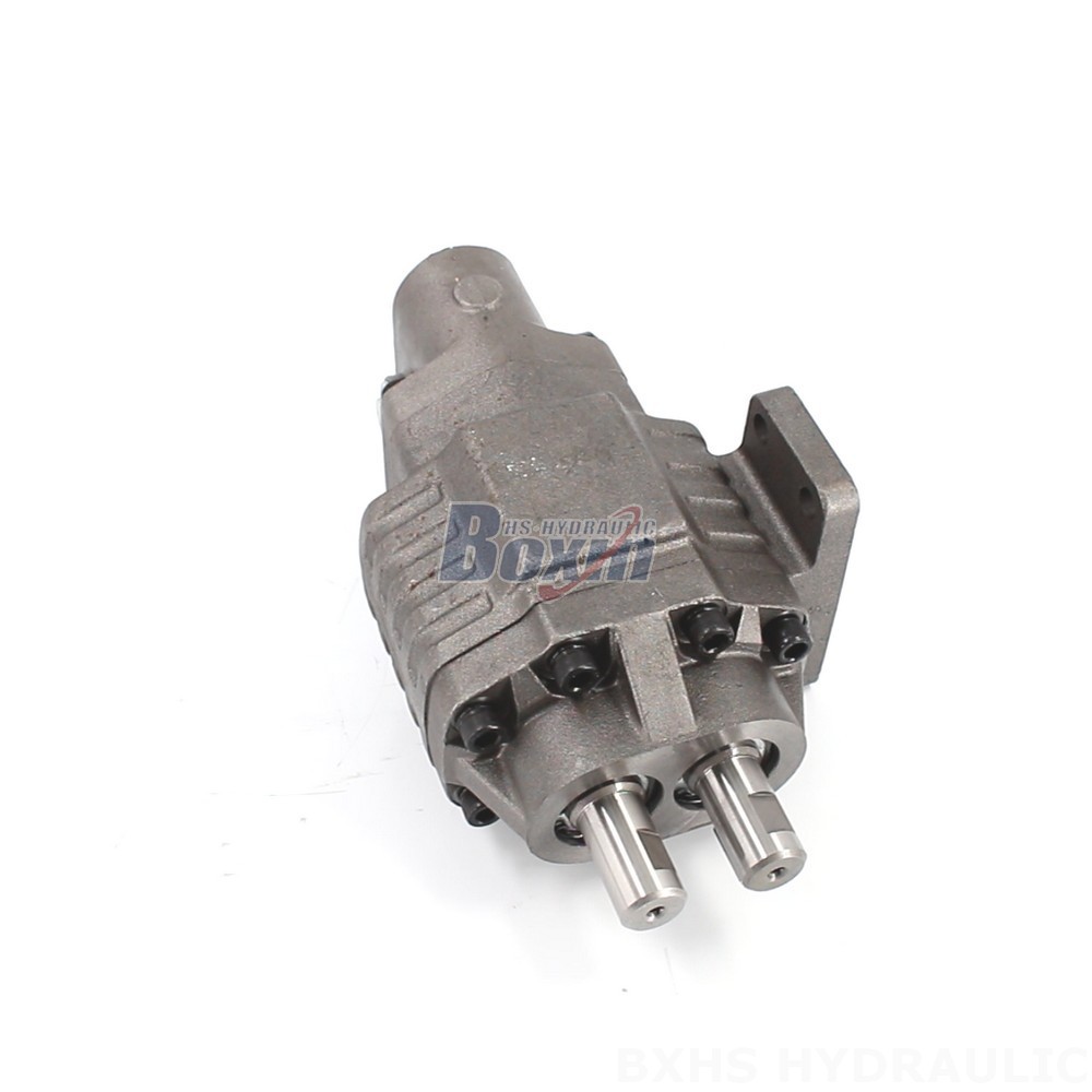 BF110M Hydraulic Gear Pump: OEM, ODM, Private Label, and Custom Solutions Available main image