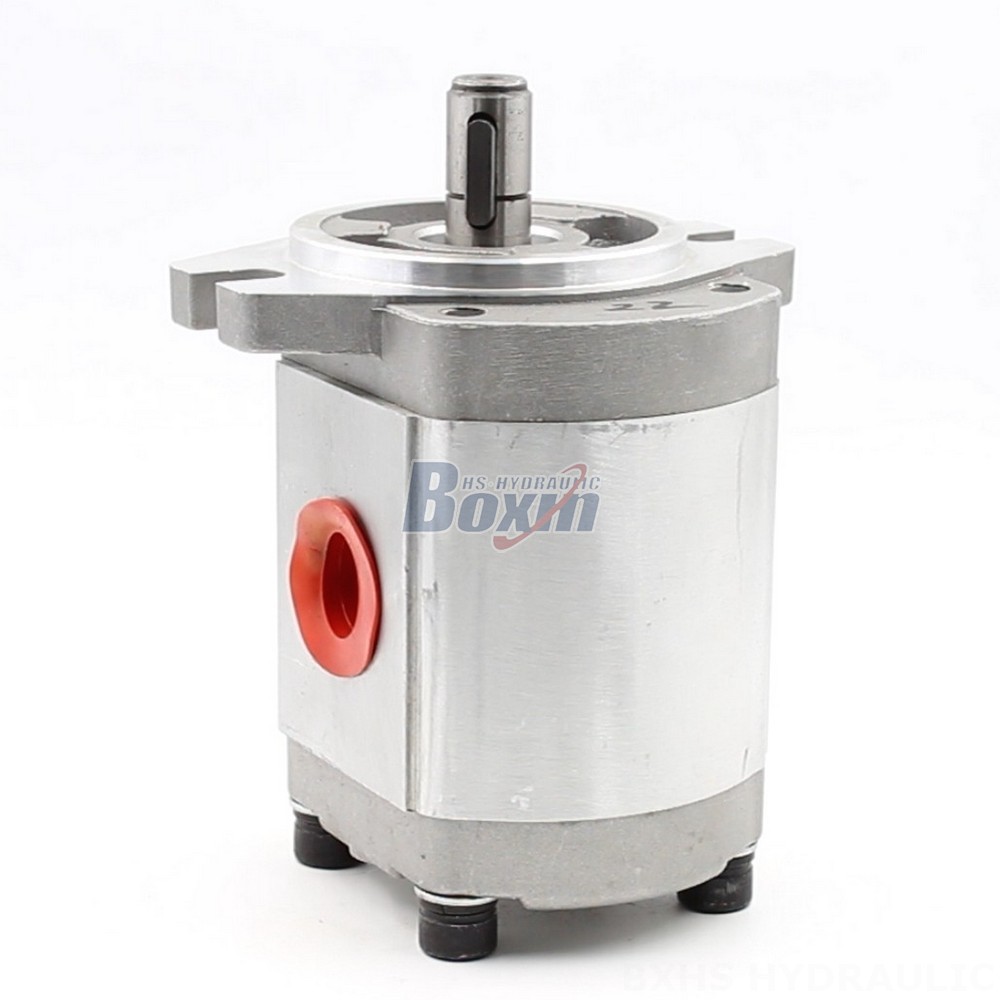 CBHS-FL304 Hydraulic Gear Pump: Reliable & Efficient | Manufacturer Supply cover photo