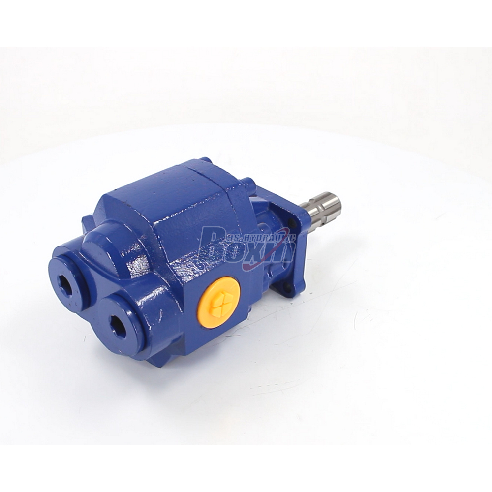 Custom OEM ODM Services for CBHST1-110-KZ 110 cc/rev Hydraulic Gear Pump Manufacturing cover photo