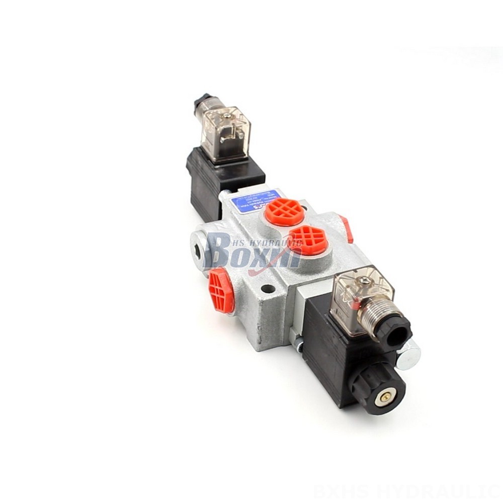 High-Performance Monoblock Valves: P40-DKL Series for Industrial Applications cover photo
