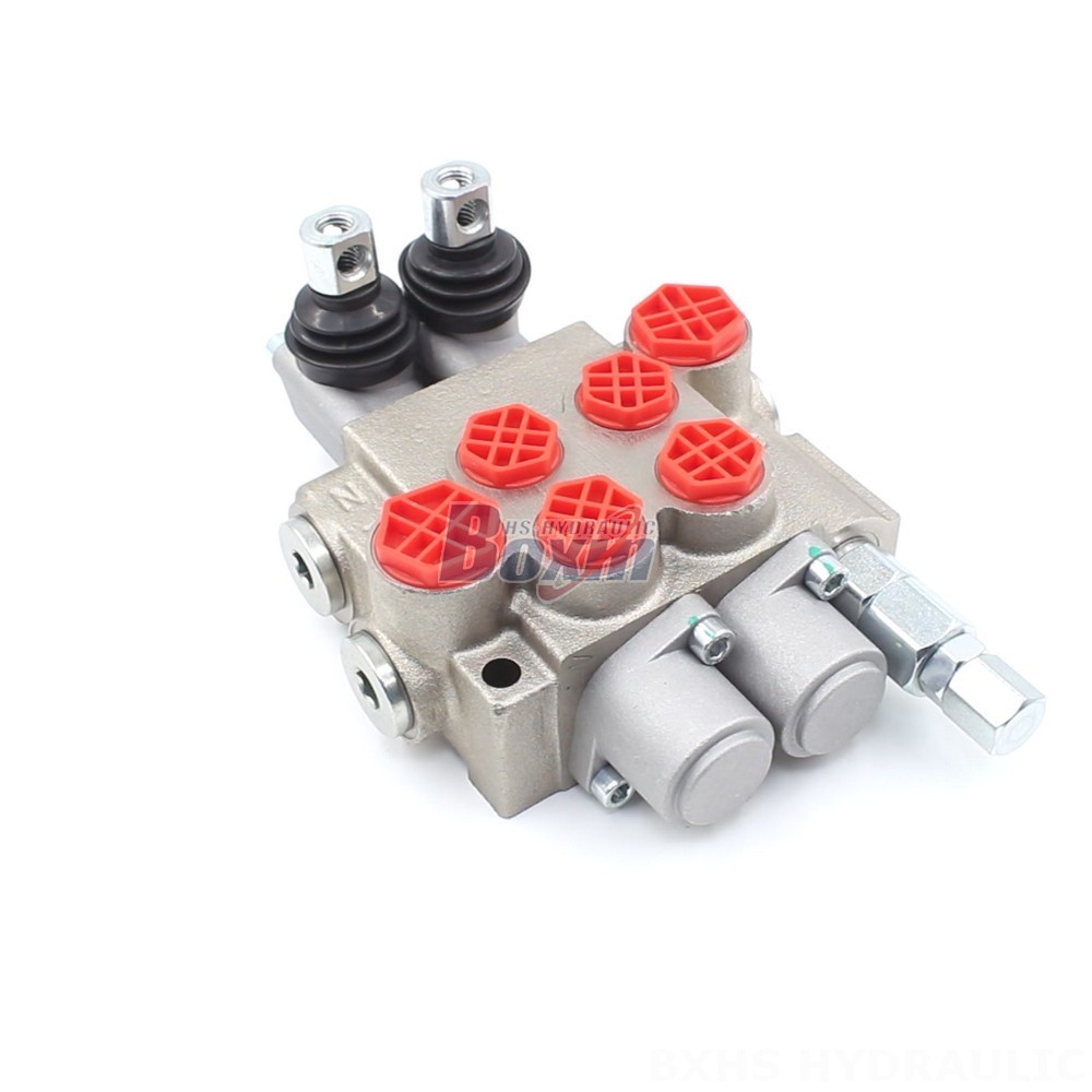 P40-XNHJ Manual 2 Spool Monoblock Directional Valve: OEM & ODM Services Available main image