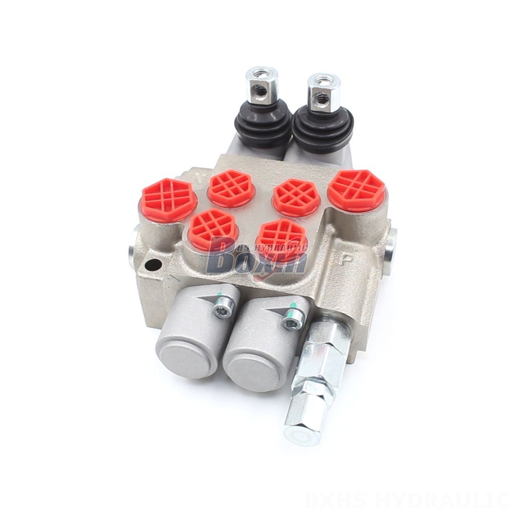 P40-XNHJ Manual 2 Spool Monoblock Directional Valve: OEM & ODM Services Available main image
