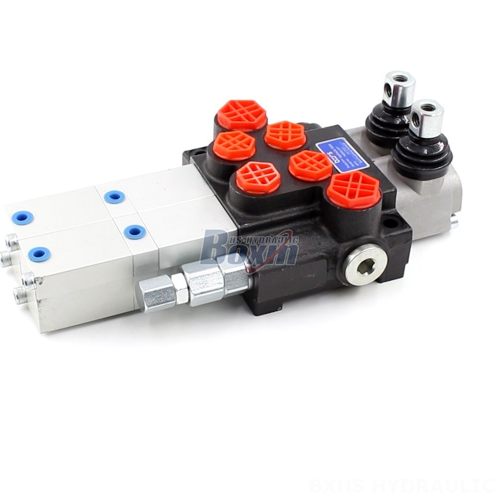 P40 Valve main image
